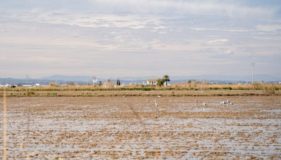 La gastronomie du delta de l'Ebre